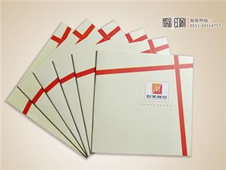 宣傳畫(huà)冊(cè)